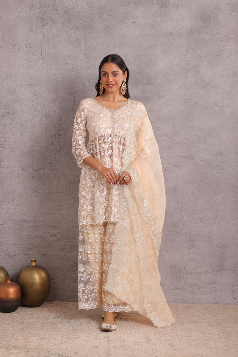 Pearly Net Sequence Embellished Suit Set