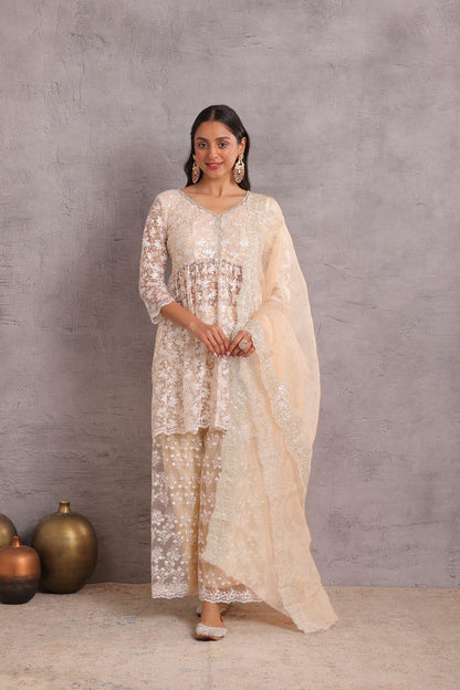 Pearly Net Sequence Embellished Suit Set
