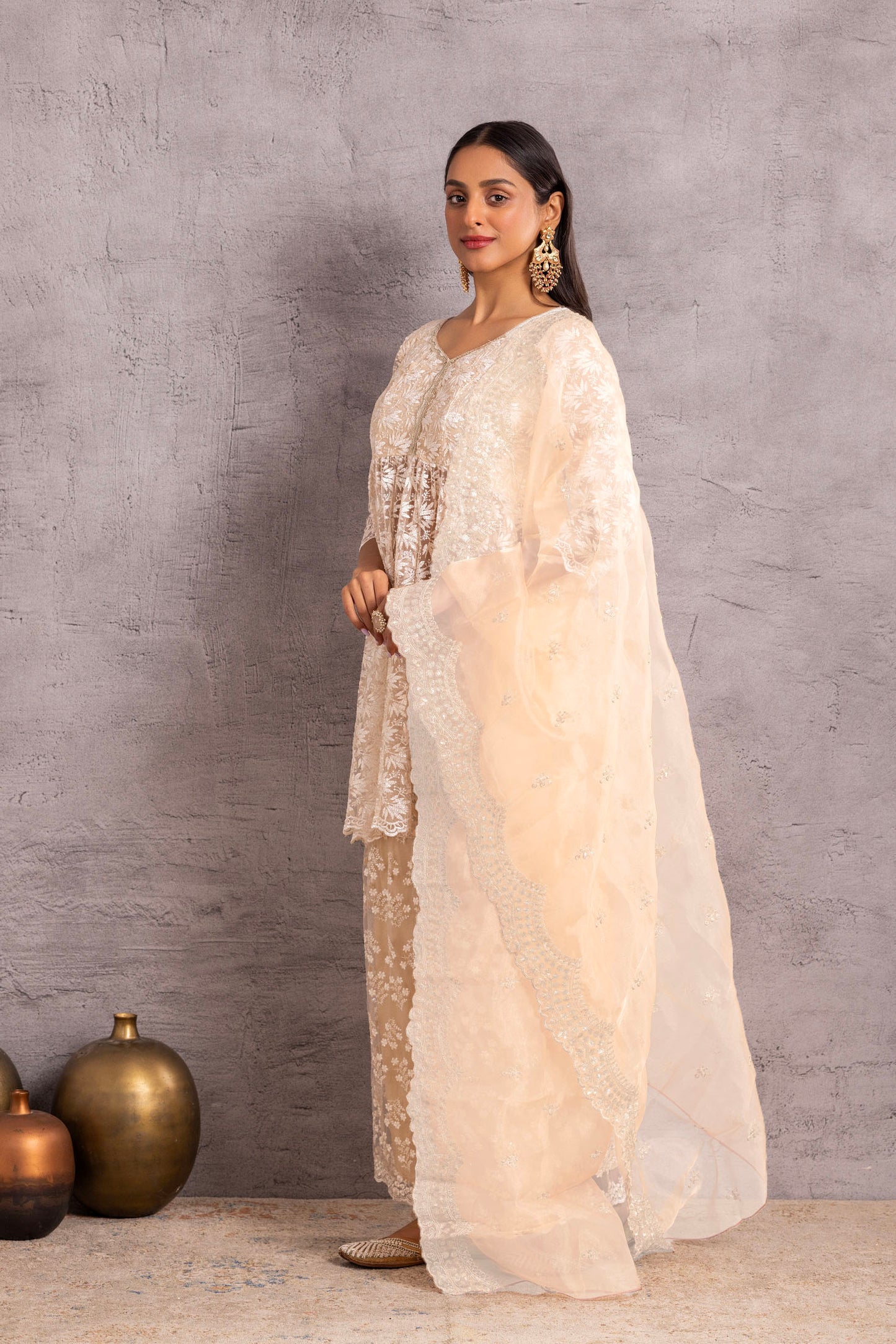 Pearly Net Sequence Embellished Suit Set