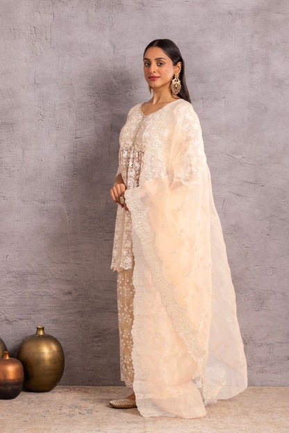 Pearly Net Sequence Embellished Suit Set