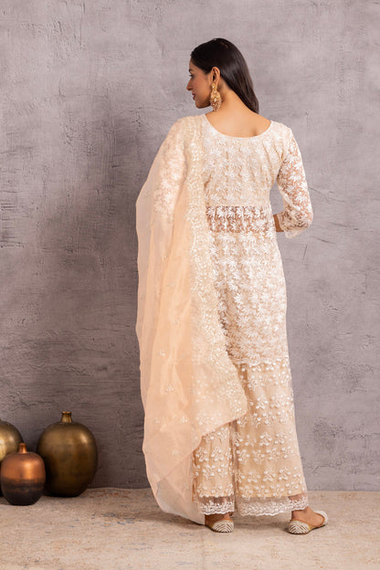 Pearly Net Sequence Embellished Suit Set