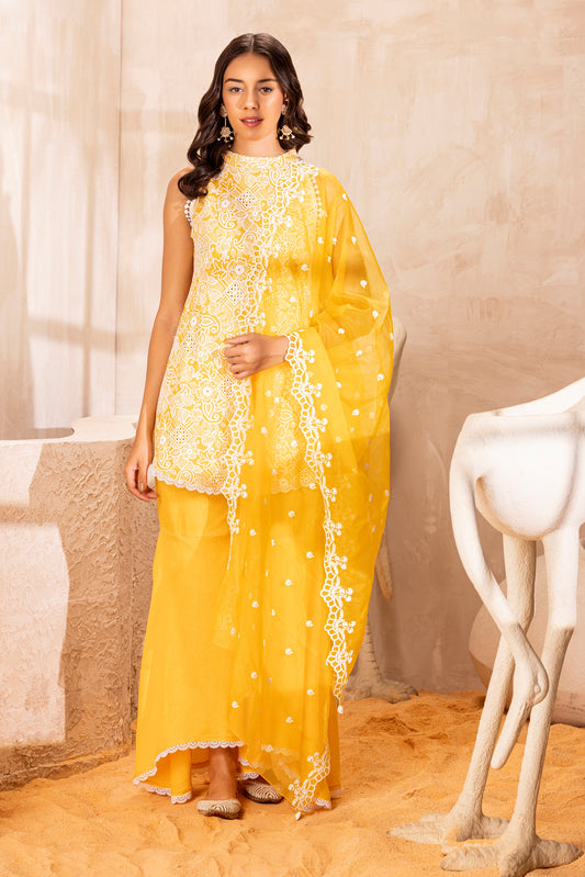 Marigold Halter Set With Organza dupatta