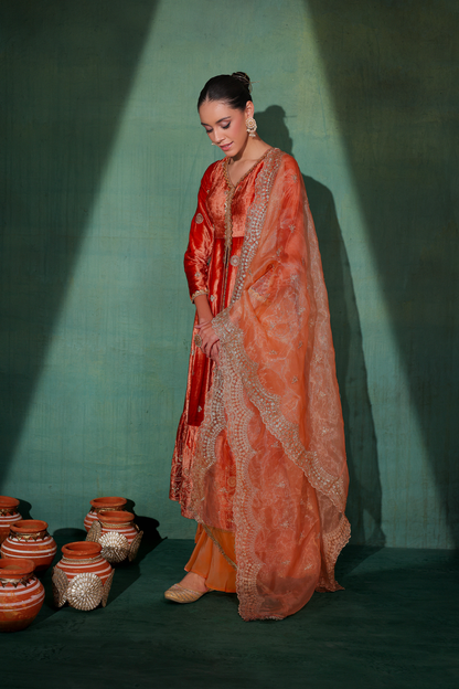 Burnt velvet Suit Set with Organza Dupatta