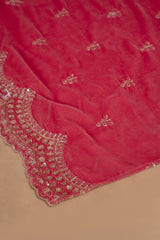 PEACH PINK EMBROIDERED VELVET DUPATTA