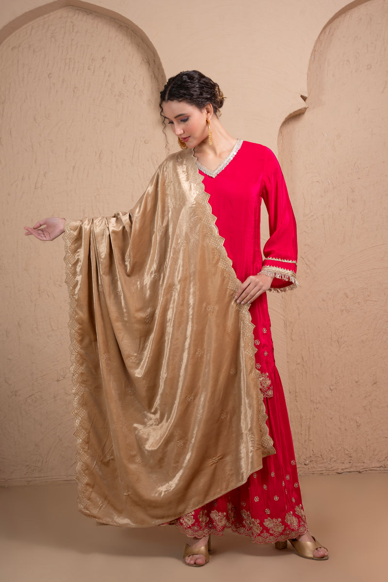 BEIGE AND GOLD EMBROIDERED VELVET DUPATTA