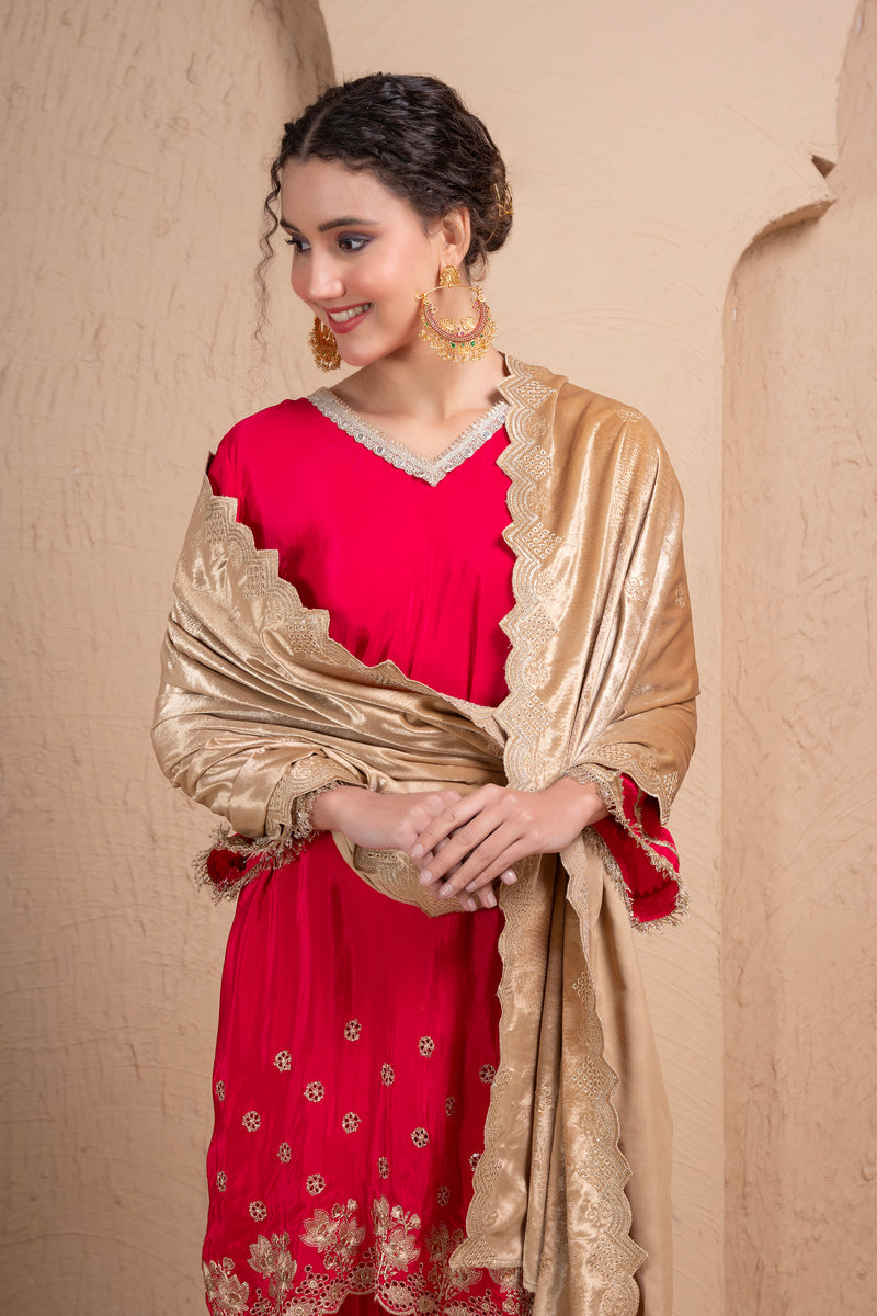 BEIGE AND GOLD EMBROIDERED VELVET DUPATTA