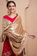 BEIGE AND GOLD EMBROIDERED VELVET DUPATTA