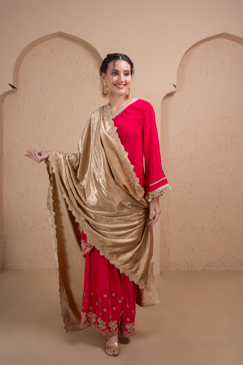 BEIGE AND GOLD EMBROIDERED VELVET DUPATTA