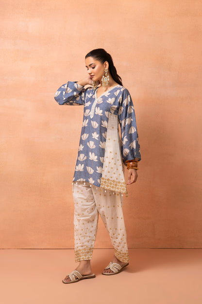 Blue And Cream Floral Printed and Embroidered Farshi Salwar Set