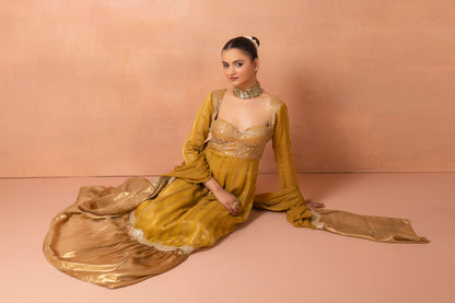 Mustard Gold Embroidered Anarkali Suit Set