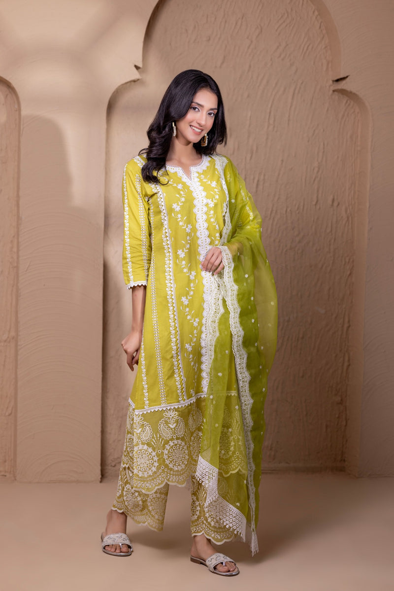 LIME ORGANZA EMBROIDERED SUIT SET