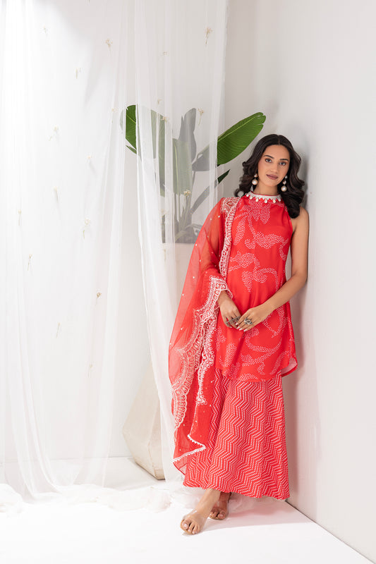 RED BANDHANI PRINTED HALTER SUIT SET