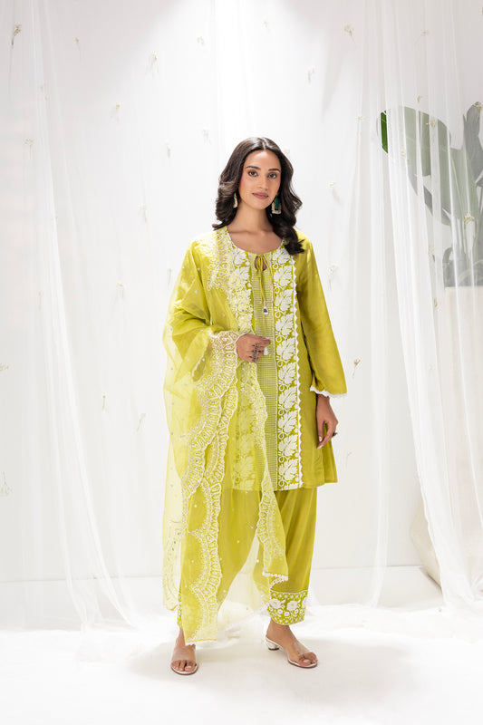 LIME EMBROIDERED FARSHI SALWAR SUIT