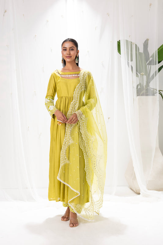 Lime and white Embroidered Flared Suit Set