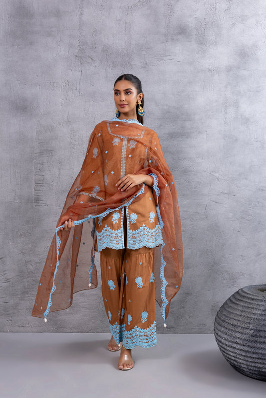 CHOCALATE BROWN WITH BLUE EMBROIDERY SUIT SET