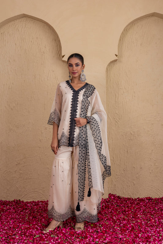 Beige And Black Organza Embroidered Suit Set