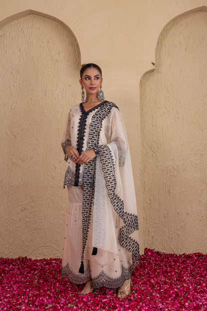 Beige And Black Organza Embroidered Suit Set