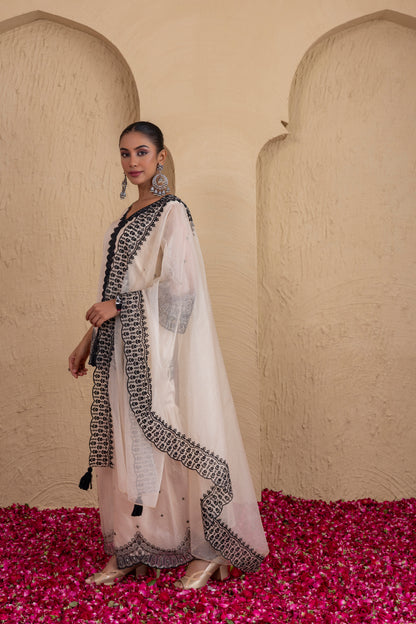 Beige And Black Organza Embroidered Suit Set