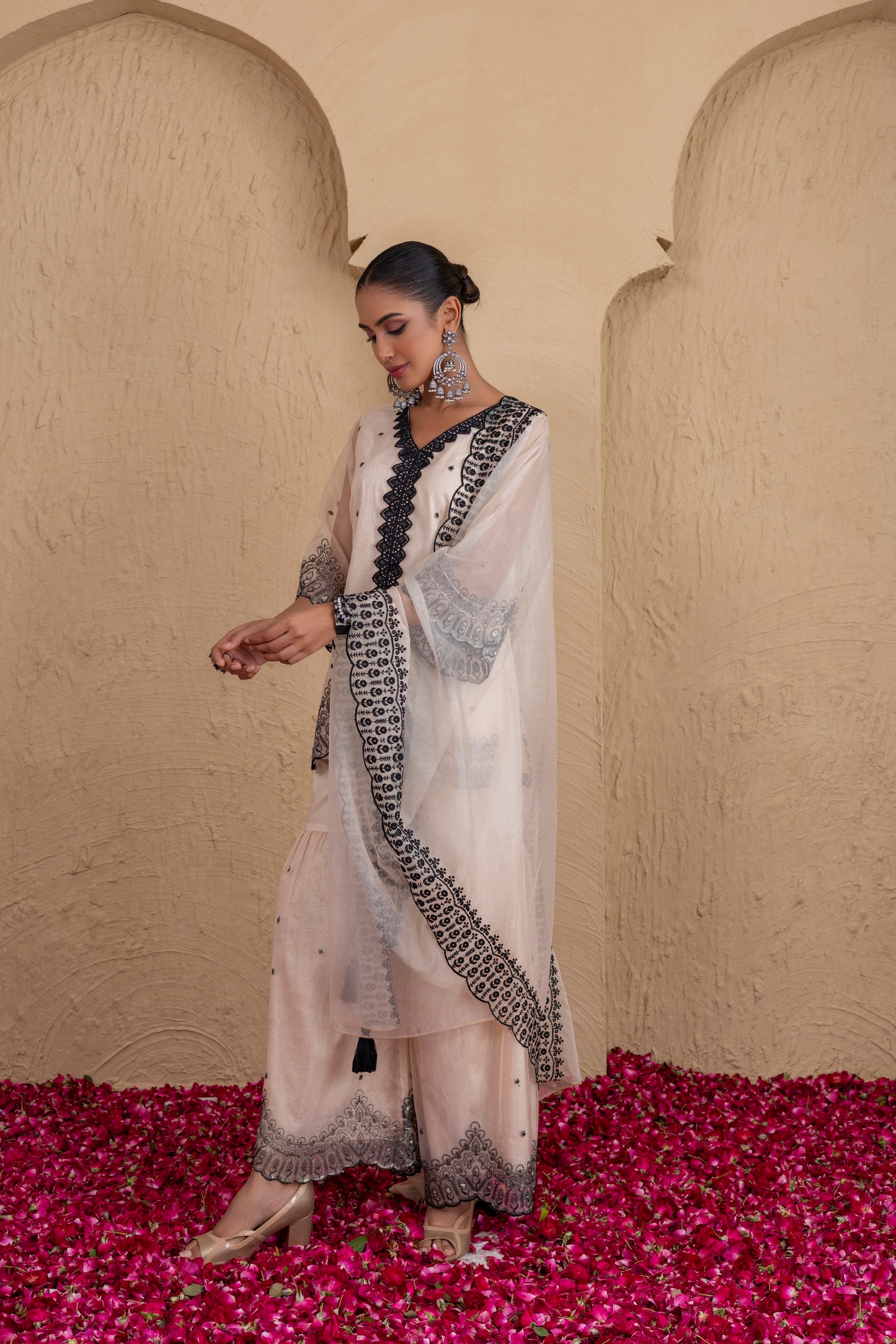 Beige And Black Organza Embroidered Suit Set