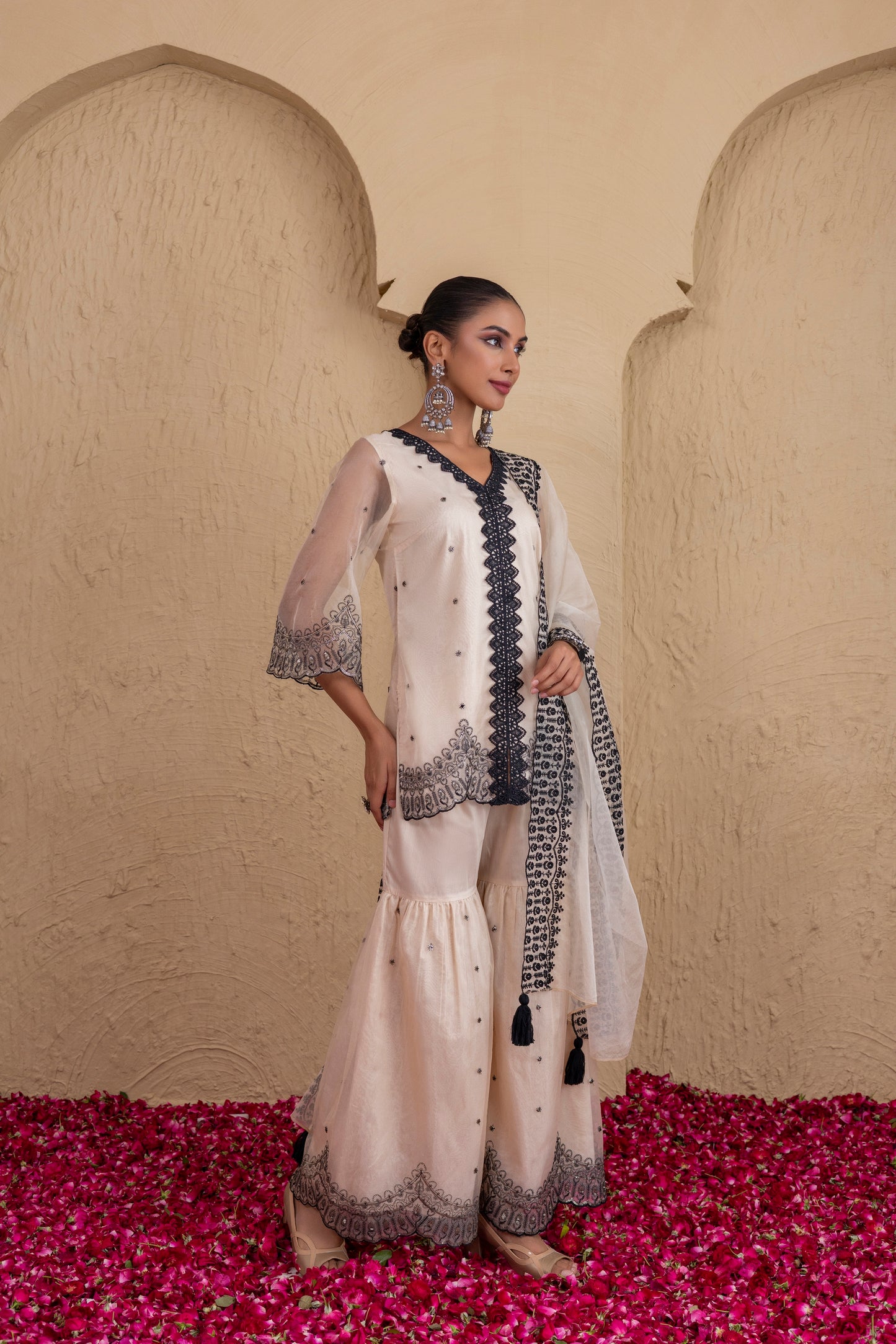 Beige And Black Organza Embroidered Suit Set