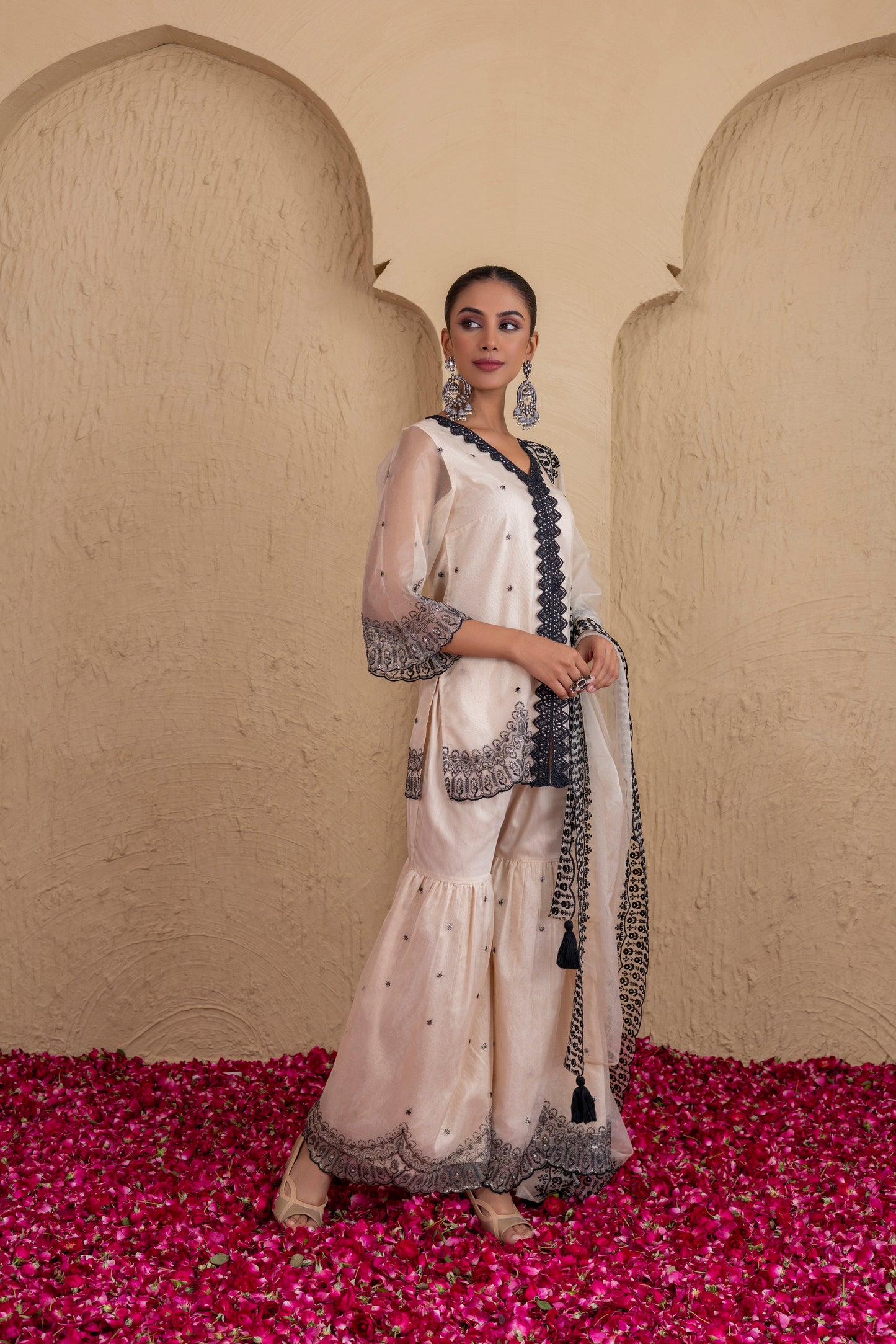 Beige And Black Organza Embroidered Suit Set