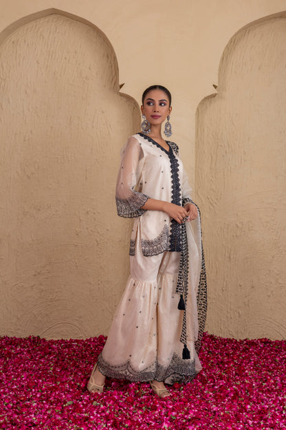 Beige And Black Organza Embroidered Suit Set
