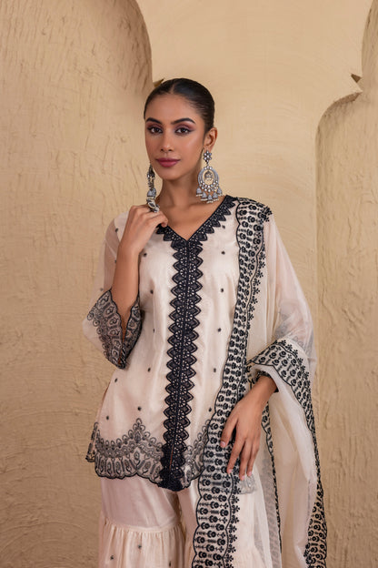 Beige And Black Organza Embroidered Suit Set