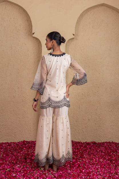 Beige And Black Organza Embroidered Suit Set