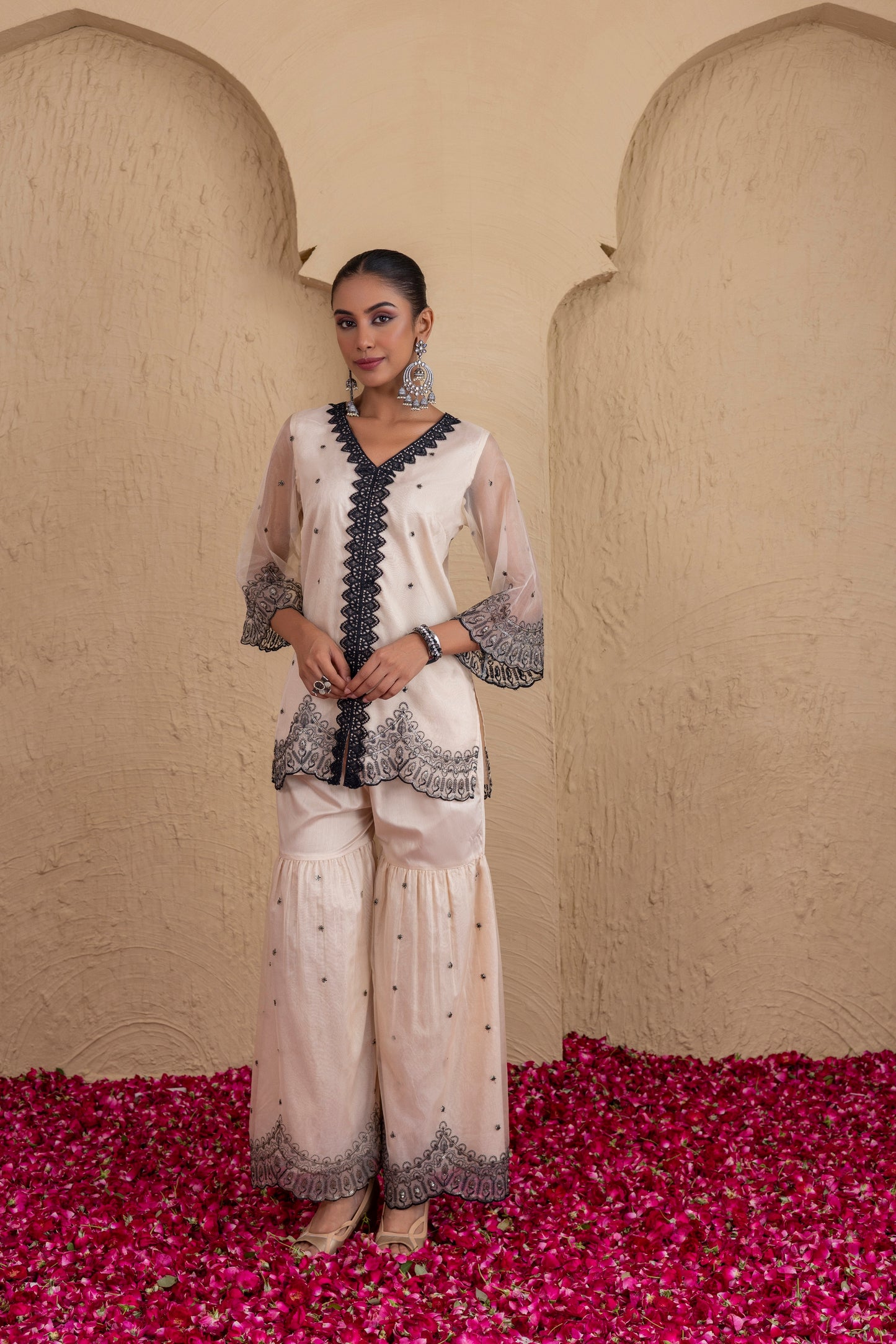 Beige And Black Organza Embroidered Suit Set