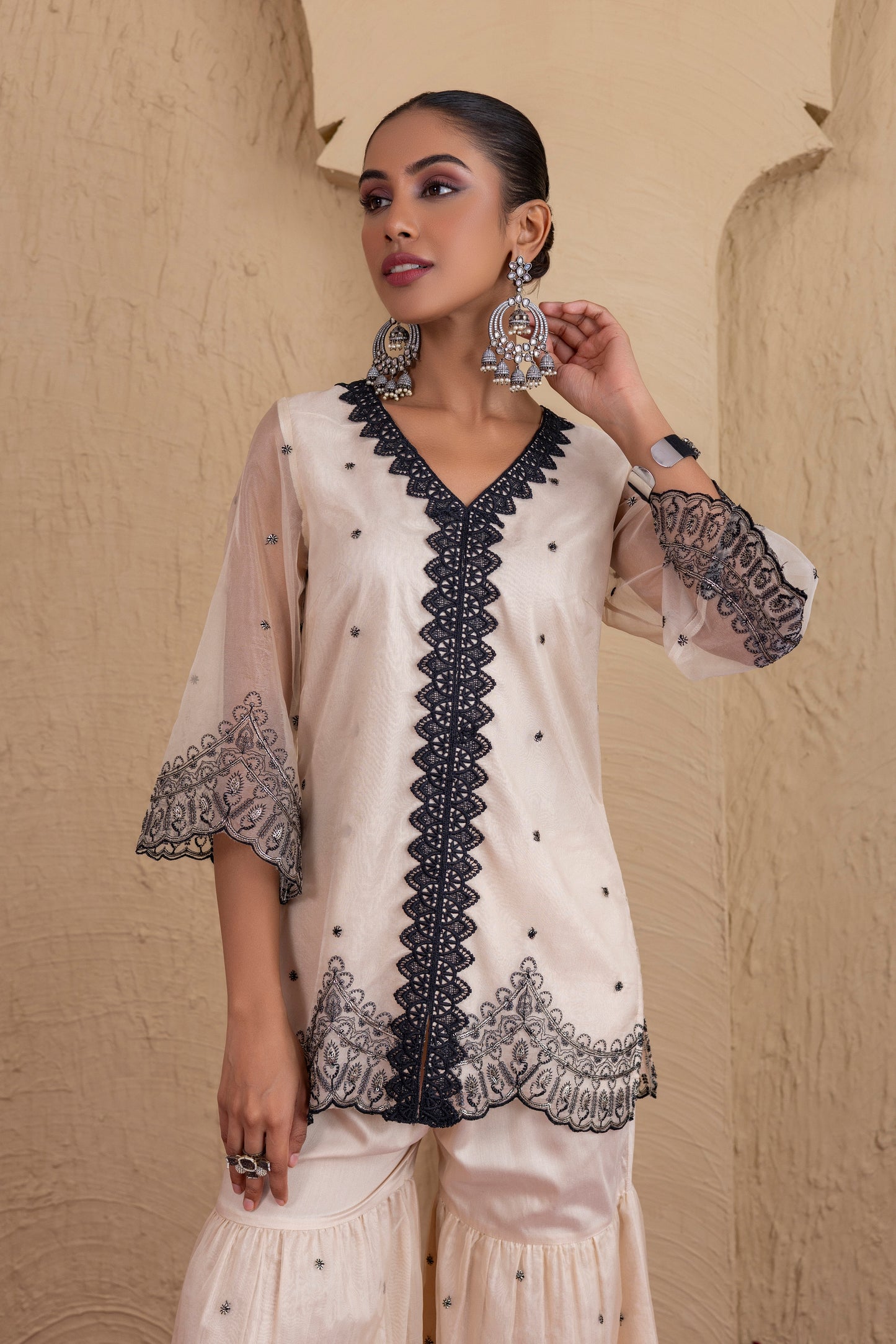Beige And Black Organza Embroidered Suit Set