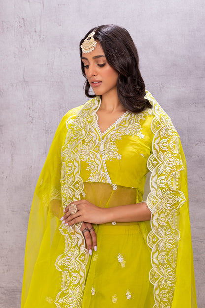 BRIGHT LIME ORGANZA EMBROIDERED SUIT SET