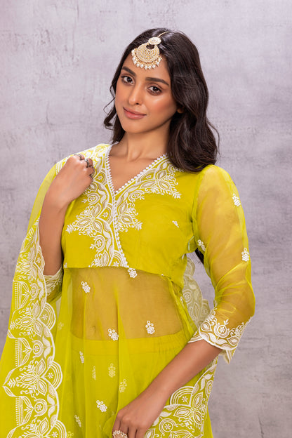 BRIGHT LIME ORGANZA EMBROIDERED SUIT SET