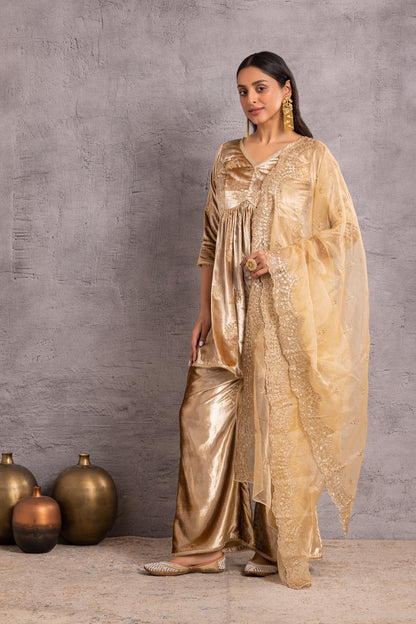Gold velvet suit Set with Organza Dupatta