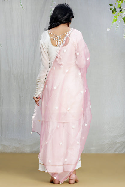 Daisy multicolored embroidered Kurta Set with Organza Dupatta